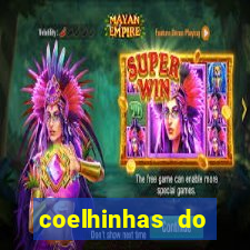 coelhinhas do brasil site